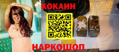шишки Можга
