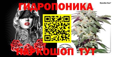 шишки Можга