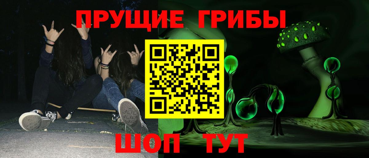 Галлюциногенные грибы GOLDEN TEACHER  Псилоцибиновые грибы мухоморы  Вход с VPN  Сухой Лог 