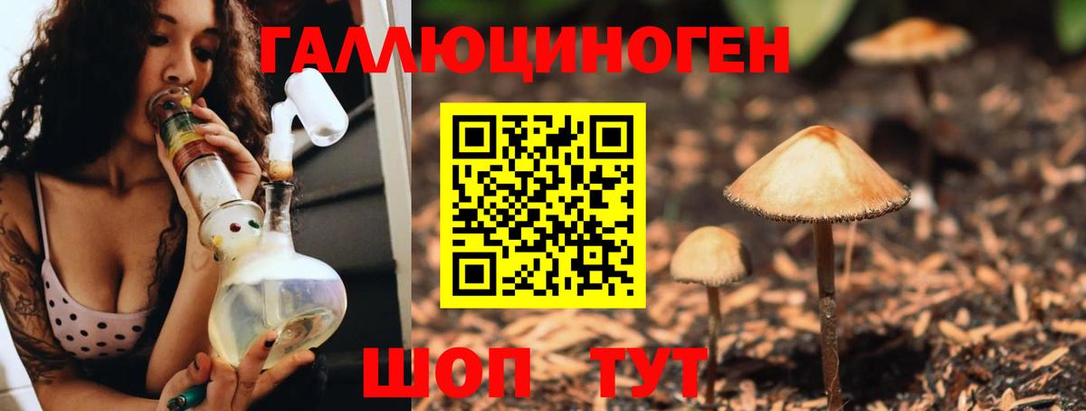 Галлюциногенные грибы Psilocybe Сухой Лог